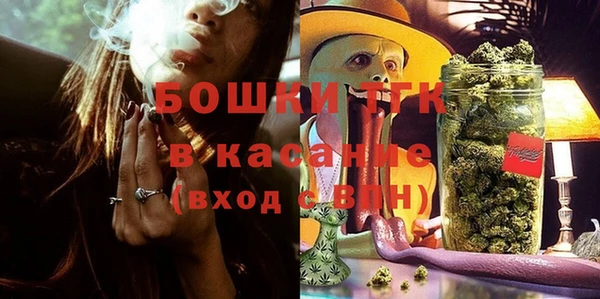 прущие грибы Баксан