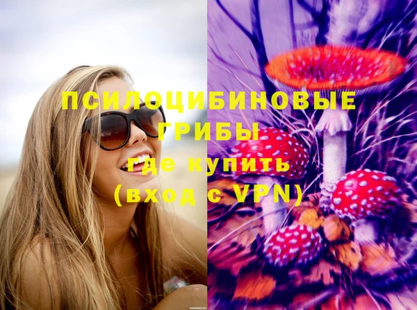 прущие грибы Баксан