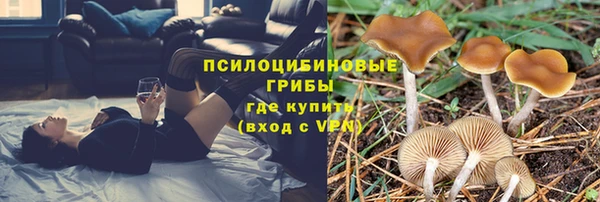 кокс Балабаново